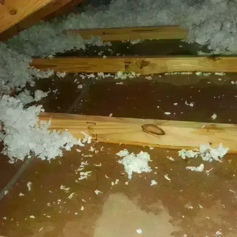 Attic Water Damage in Lawrence County, OH