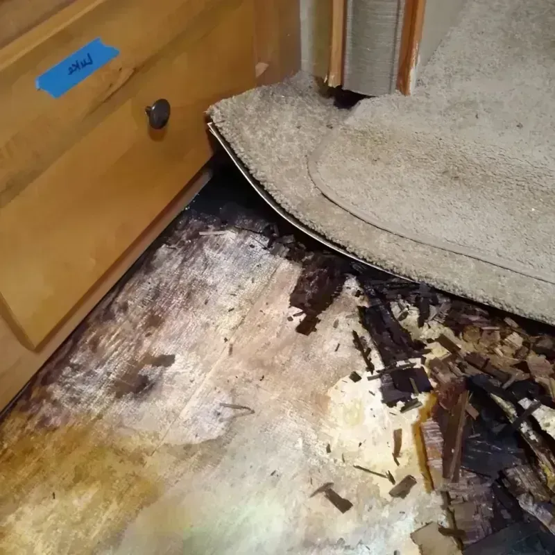 Wood Floor Water Damage in Lawrence County, OH